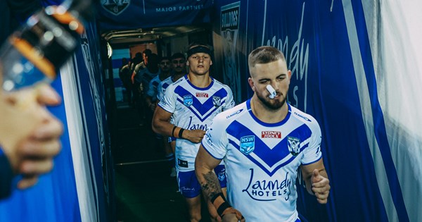 canterbury bulldogs jersey cheap