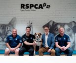 Bulldogs Adopt RSPCA NSW as Community Partner